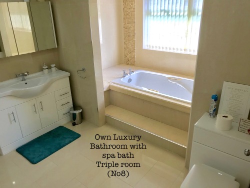 Triple Luxury Bathroom with spa bath (room 8)