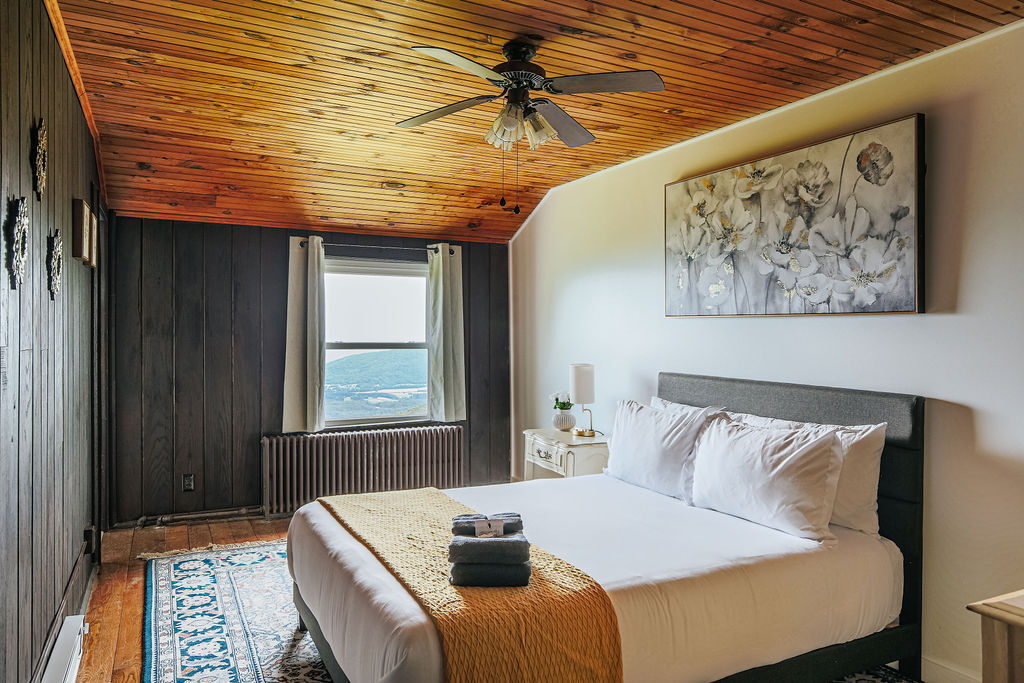 Swannanoa Suite 3