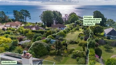 Aerial view of the huge, private back garden
