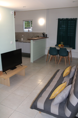 Salon - Télévision - Table à manger