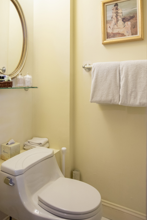 A bathroom with a toilet, towel rack, mirror, shelf with tissue box, and artwork.