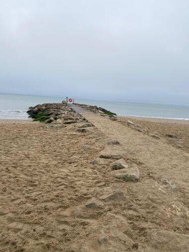 Nice walk with your pet 