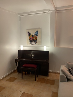 Piano du Salon