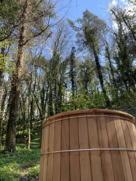 Bain nordique privatif vue sur la forêt