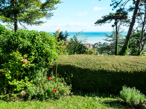 Le jardin