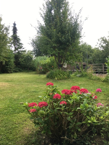 naturnaher Garten