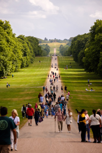 The Long Walk, Windsor, England.
