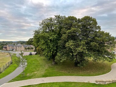 View from Living Room