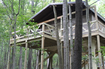 Treehouse - 