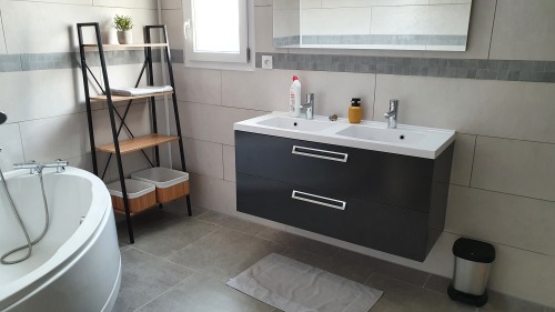 salle de bain douche + baignoire + double vasque