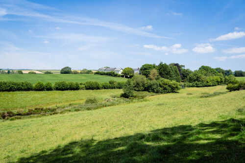 Dog walks and picnic spots galore