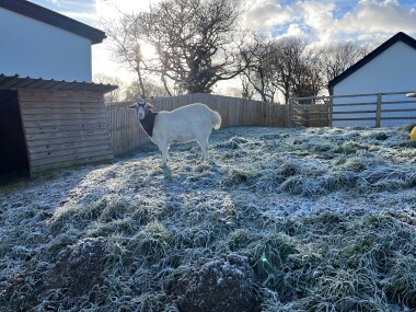 Book onto our animal tours
