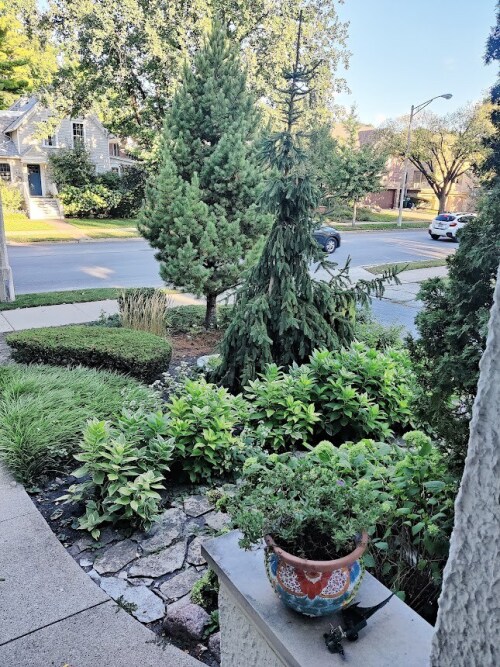 Looking out at Oak Park Avenue