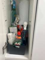 Cleaning products