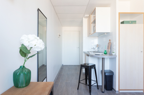 Espace de vie, bureau, cuisine et lit