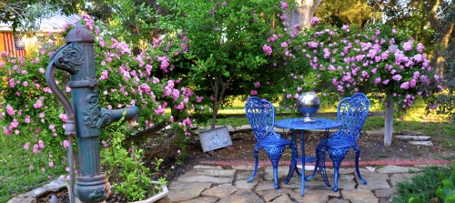 Welcome to Southern Rose Ranch!
