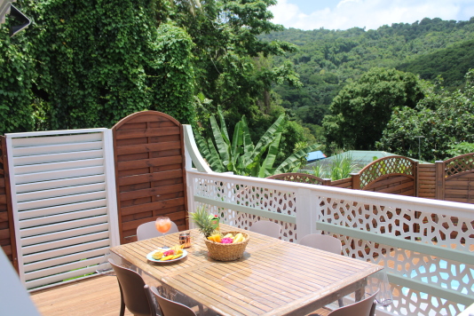 Terrasse et vue montagne