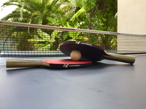 Ping pong villa ioanes