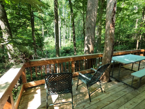 Deck with Forest View. 