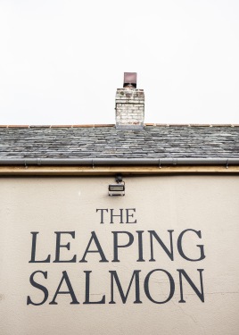 The Leaping Salmon - The Leaping Salmon