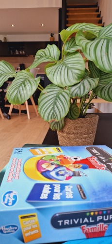 jeux de société enfants