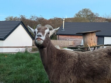 Book onto our animal tours