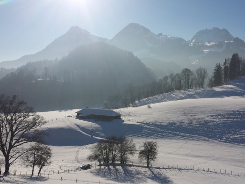 Au Soleil de Gruyères - vue Moléson 2002m alt