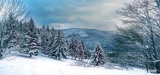 vosges hiver