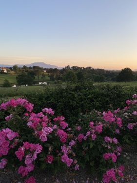 Depuis le Golf d'Arcangues