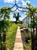 Garden & Outdoor