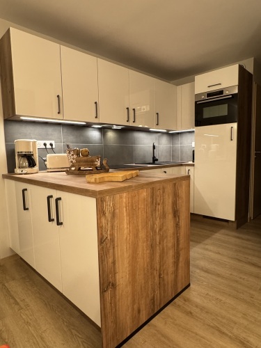 cuisine équipée complète (plaque induction, hotte, lave vaisselle, four combiné traditionnel / micro-ondes, 