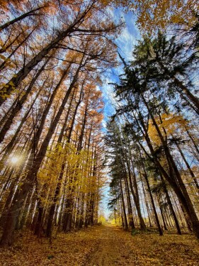  NY State Park Beechwood is out your back door.  Enjoy the hiking - great trails and on the lake for wonderful woods or water views. 