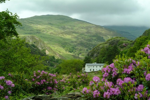 House and location in Snowdonia