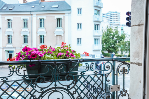vue sur rue