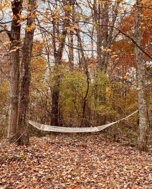 Relax In The Hammock