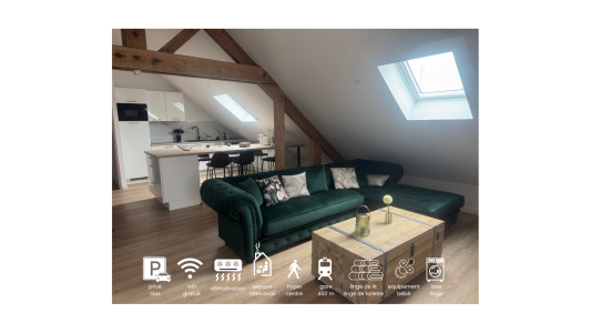 bel espace de vie lumineux