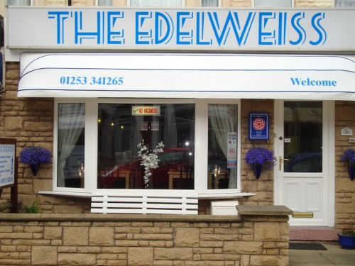 The Edelweiss - 