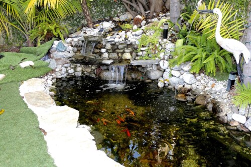Pond in Back Yard, walk through the kitchen to the back yard.