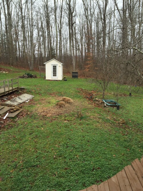 Back yard