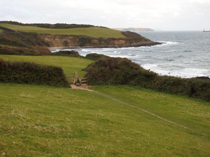 The South West Coast Path and Trelawne