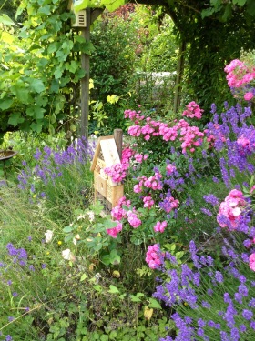 jardin en fleurs