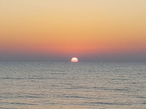 We are the "Sunrise Side" of Michigan