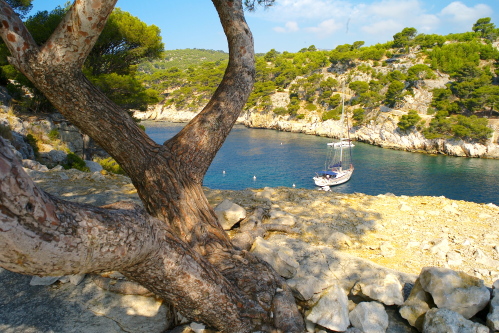 Les calanques de Cassis