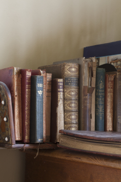 Books in the Drawing Room