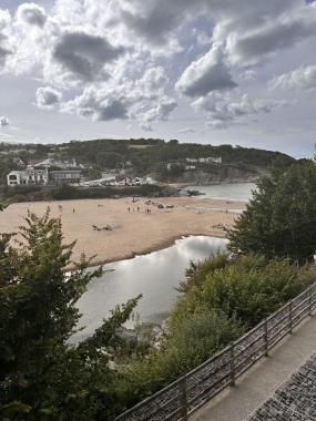 View from Studio Cabin 