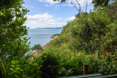 View from private woodland path