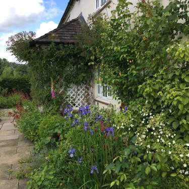 Mulsford Cottage - front garden 
