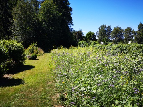 Bienenfreundliche Anlage in unserem Garten - ein Traum