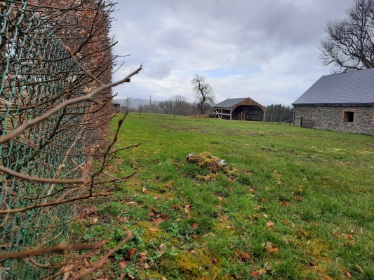 Gîte rural l'Olivier, Filly - Houffalize