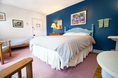 Room 17-Triple room-Ensuite with Shower-Premium-Garden View